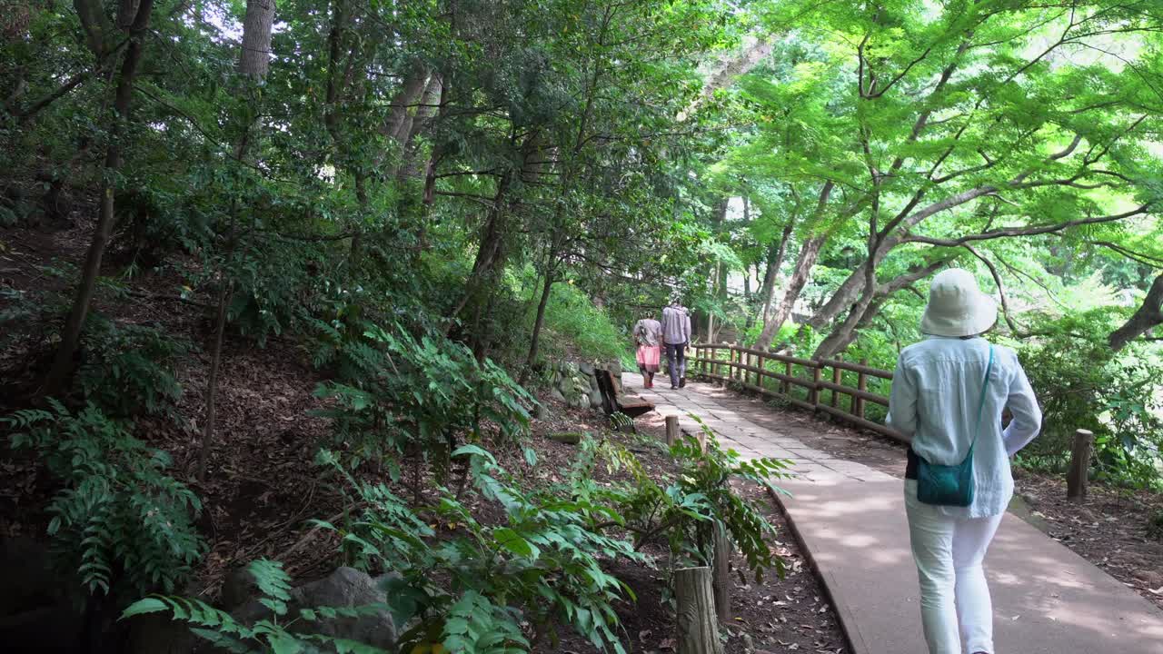 초여름에는 나무 그늘과 신선함 속에서 도쿄의 공원을 오랫동안 산책하는 것이 일반적입니다.