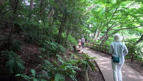 in early summer, it is common to take long walks through the parks of tokyo, in the shade and freshness of its trees