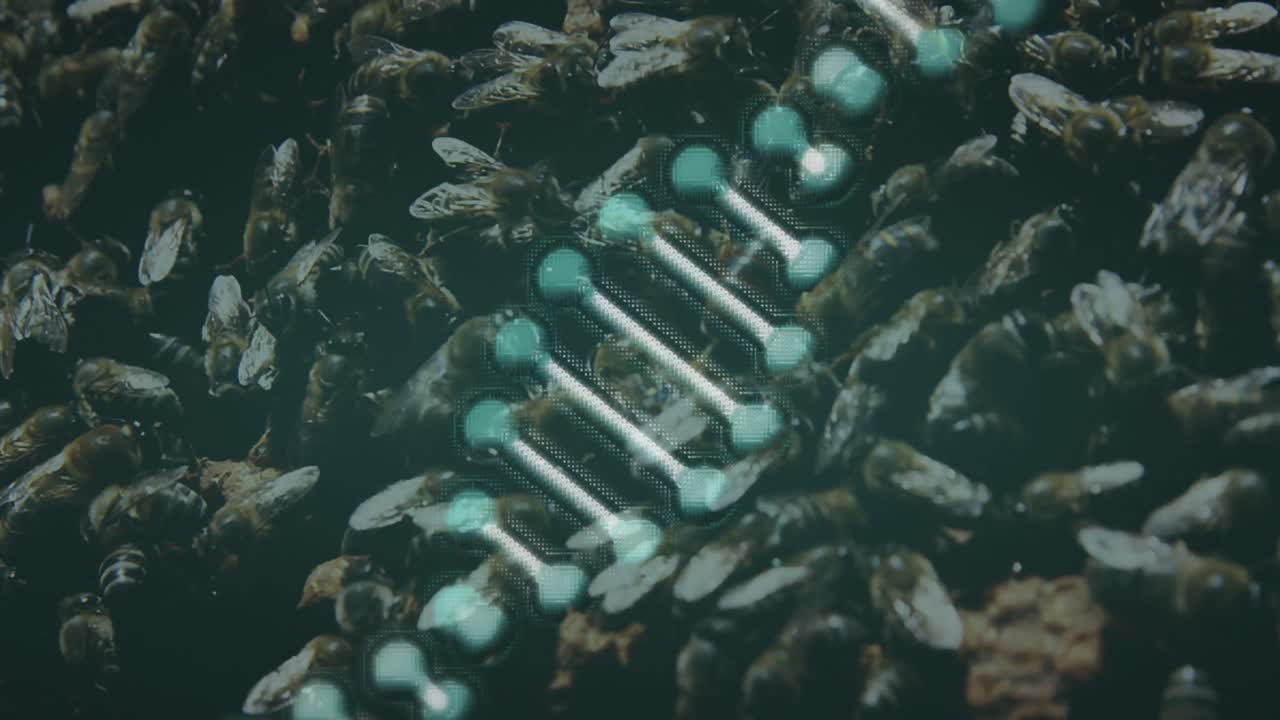 벌 위에서 회전하는 3d 녹색 dna 가닥의 애니메이션