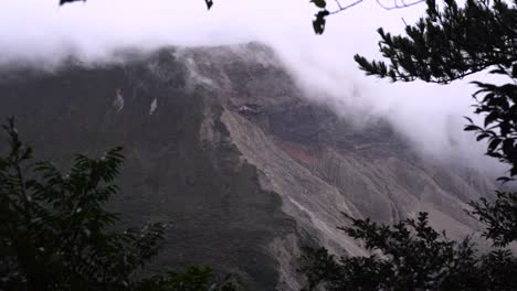 view out on foggy and cloud covered mountain in between branches