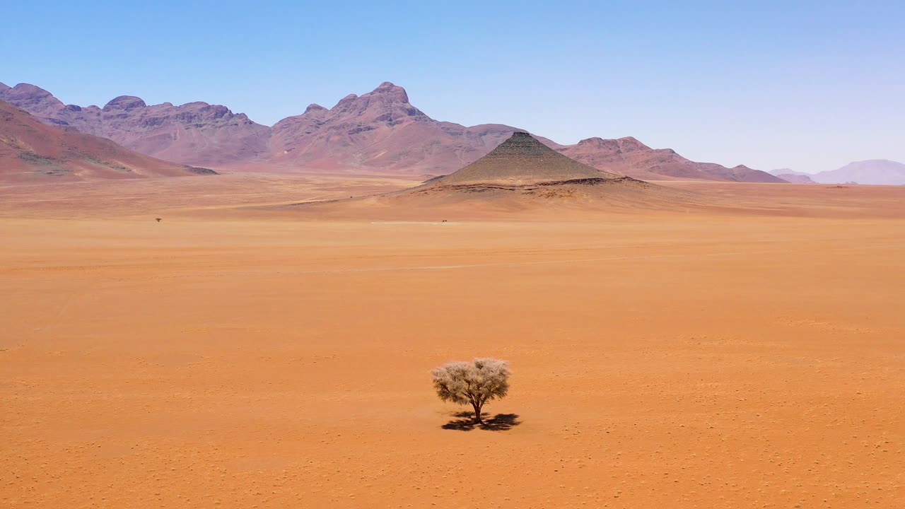 antena de un solo árbol solitario sentado en medio del desierto de namib namibia 1