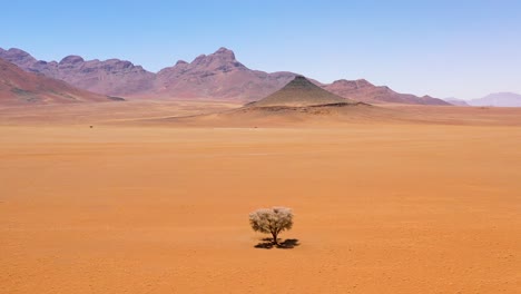 aerial of a single lonely tree sitting in the middle of the namib desert namibia 1