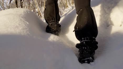 gaiters and spikes, woman walking snowy forest, low angle handheld slow motion