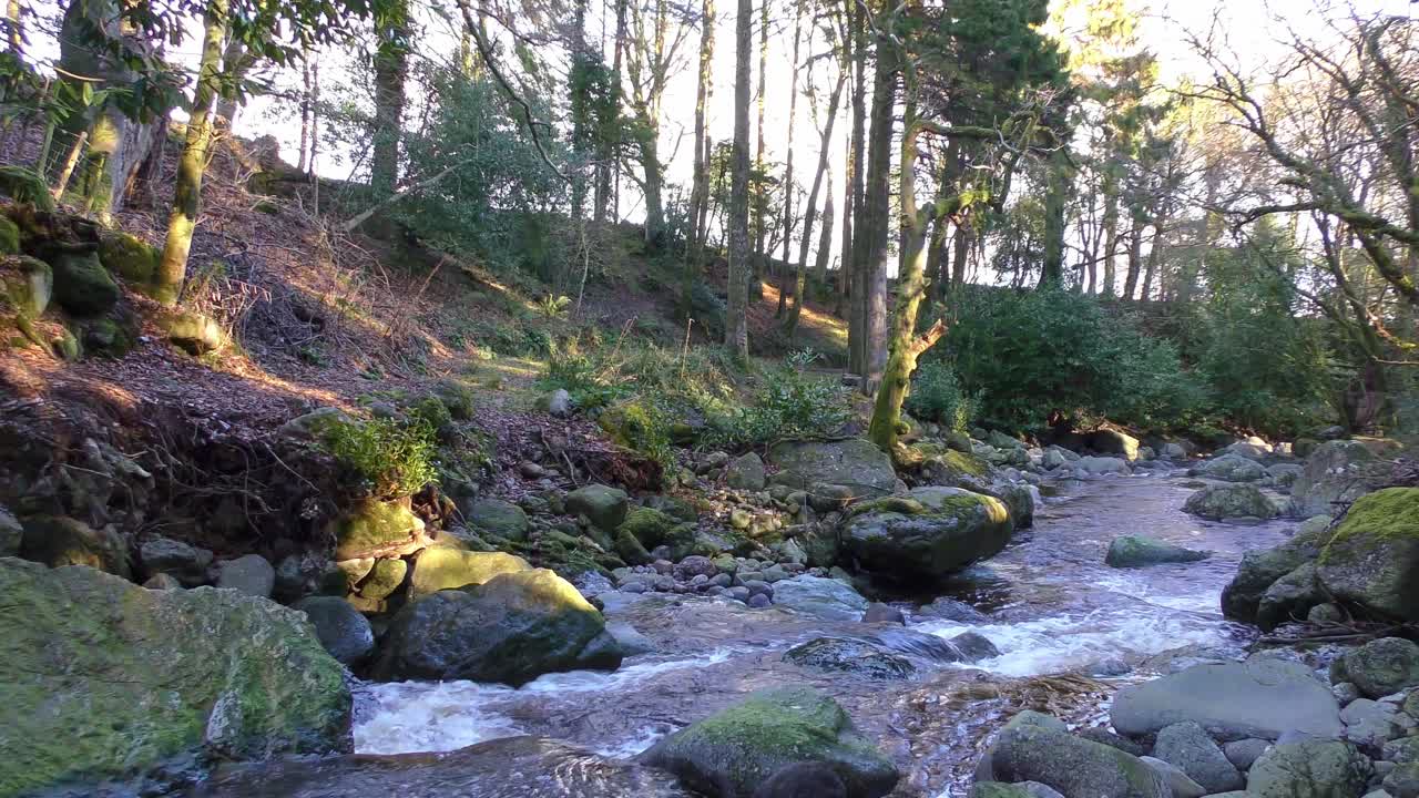 arroyo de montaña a última hora de la tarde manchado de luz en waterford irlanda en una noche de otoño