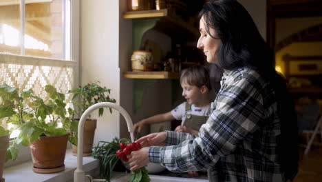 Side-view-of-caucasian-woman-washing-vegetables-and-fruits-in-the-sink.-Her-son-helps-to-her