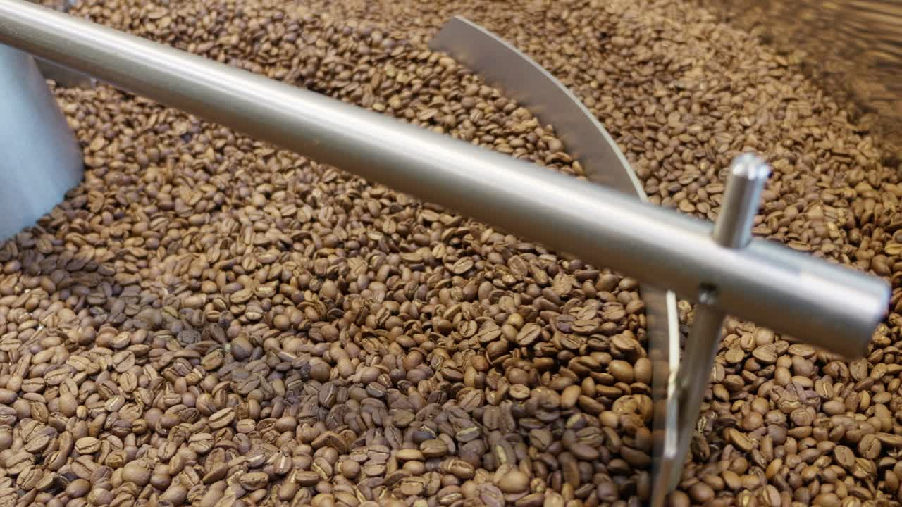 Harvesting coffee beans processing facility coffee production industrial setting close-up view quality control