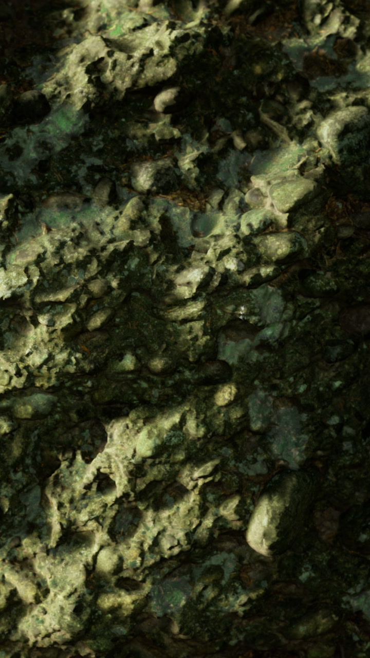 Close up view of a textured surface with green and dark tones in natural light