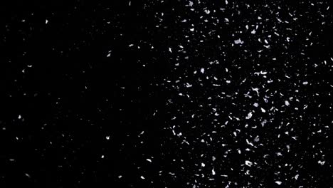 la nieve cayendo sobre el fondo negro