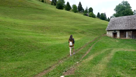 a woman hiking through a mountain 4k