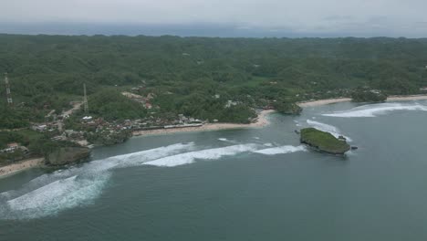 selva tropical y playa en la costa de indonesia, vista panorámica aérea