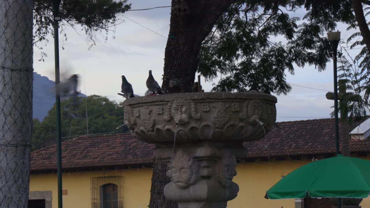 Close up view of Antigua’s colorful colonial plaza with unique details and surrounding greenery as pigeons land in fountain with no water