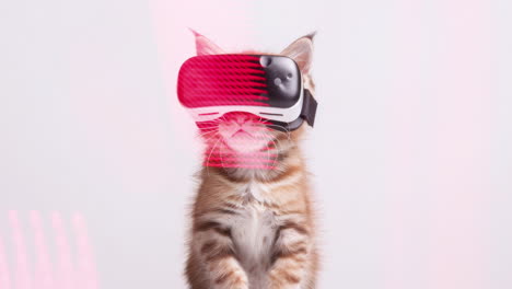 ai gatos que usan auriculares y gafas de sol y auriculares vr