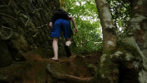 caucasian maie hikes up a hill with roots near an old abandoned bridge in the rain forest on ihla grande in brazil in slow motion