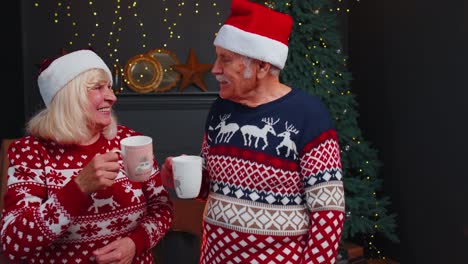 Ältere-Großmutter,-Großmutter-Genießt-Angenehme-Weihnachtsgespräche-Und-Trinkt-Zu-Hause-Heißen-Tee