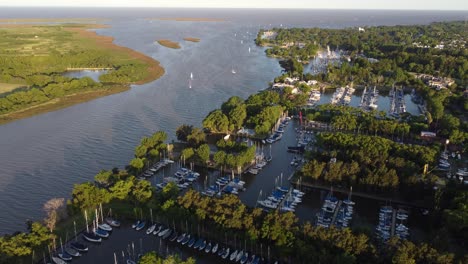 an aerial shot of san isidro and the lujan river in buenos aires, argentina