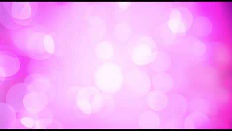 animation of light spots on pink background