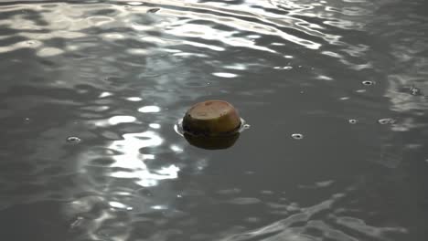 ripple of water near plastic bottle.