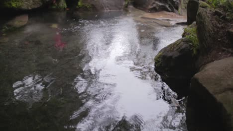 Gotas-De-Lluvia-En-Cámara-Lenta-En-Un-Pequeño-Estanque-En-Vancouver-BC-Canadá