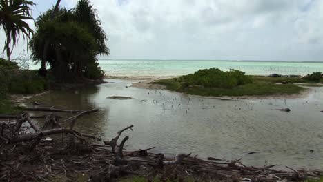 fanning island landscape, republic of kiribati