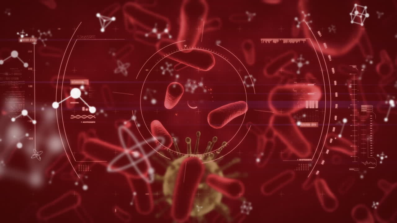 스 ⁇  스캐닝과 매크로 코로나 19 세포의 애니메이션