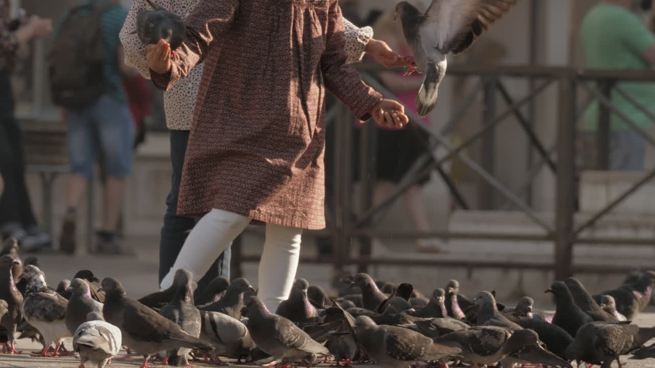 дети кормят голубей.