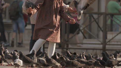 kids hand feeding the pigeons