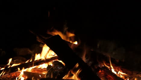 campfire at night