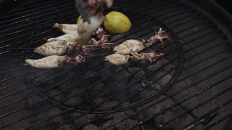 grilled squid skewers on a barbecue