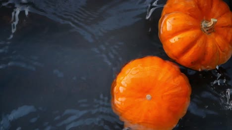 two pumpkins floating in water