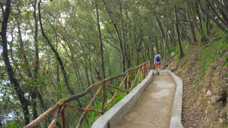 mujer excursionista caminando en un hermoso sendero natural durante el verano en la isla de capri, italia - amplia