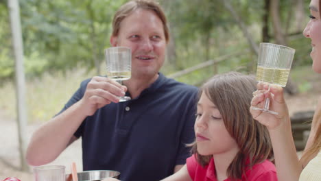 close-up of parents hands clinking glasses at picnic