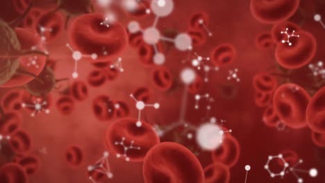 Animation-of-moving-cells-over-red-background