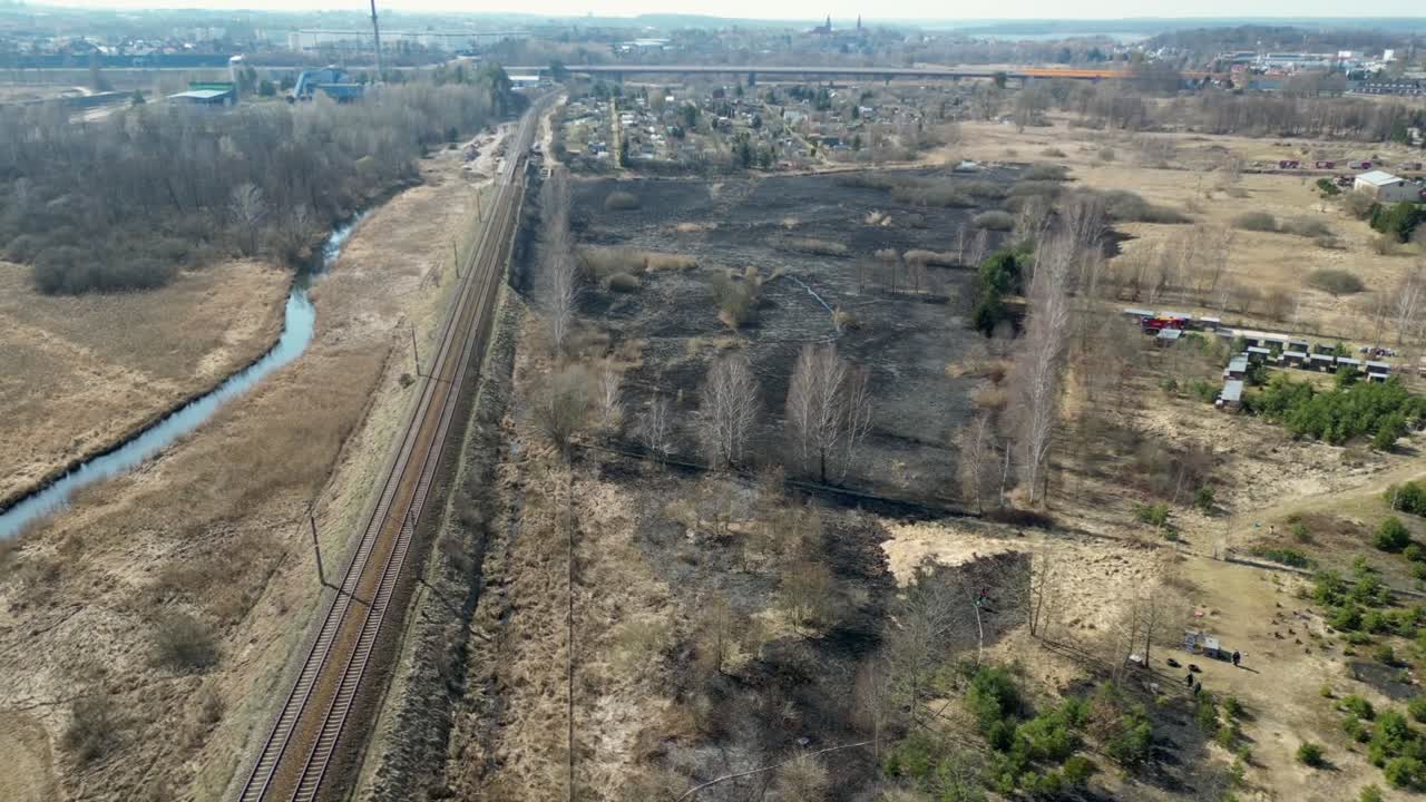 Spring Meadow After Fire with Fresh Green Growth