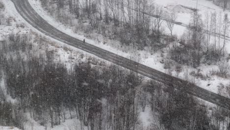 person walking on snowy road during blizzard