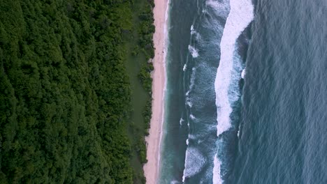 top down drone lowering shot of big waves rooling on the tropical beach