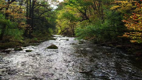 Atemberaubende-Drohnenaufnahmen-Von-Einem-Atemberaubenden,-Moosigen-Herbstlichen-Waldbach-Tief-In-Den-Bergen