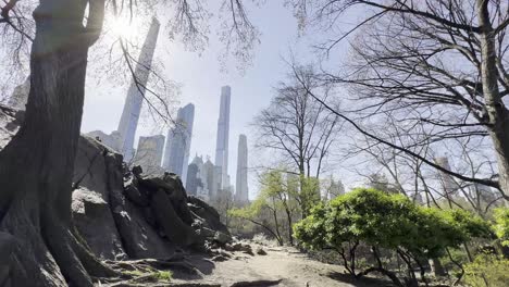 a serene path in central park with towering skyscrapers in the background