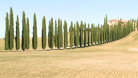 una toma amplia de una villa de campo con largas hileras de árboles en toscana, italia 4