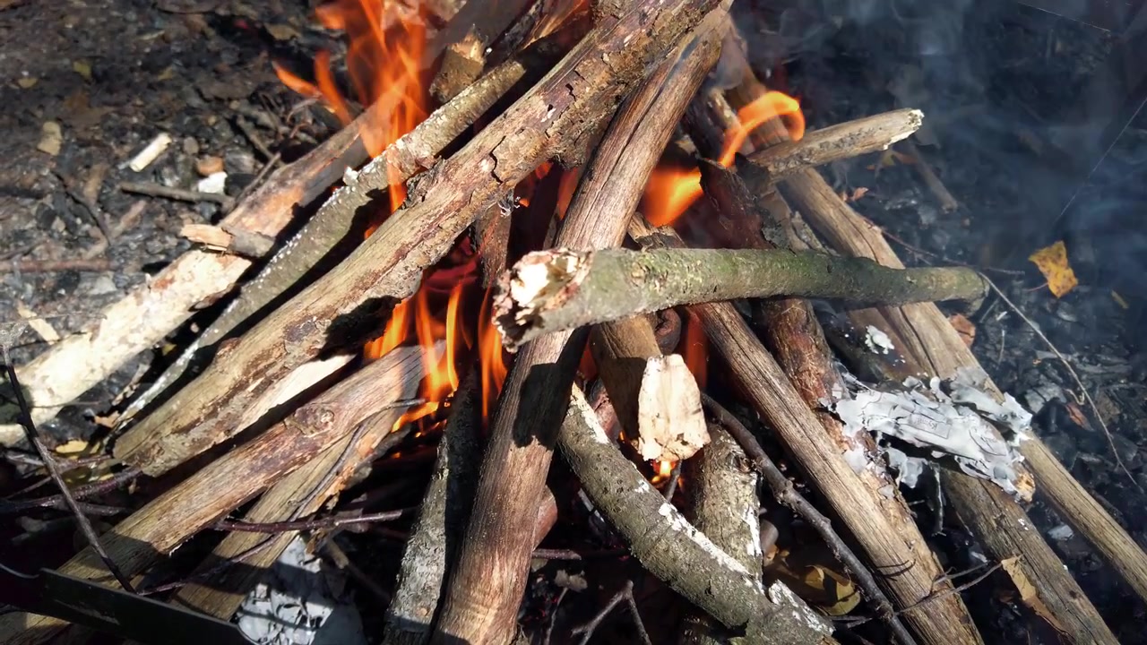 Riprendere un incendio nella foresta