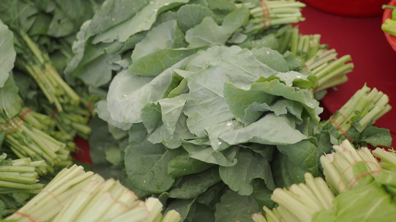 Close-up of Fresh Choy Sum
