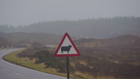 a classic 4x4 vehicle drives through twisty roads in the scottish highlands, passing a traffic sign warning of sheep on the road ahead. road-trip travel concept.