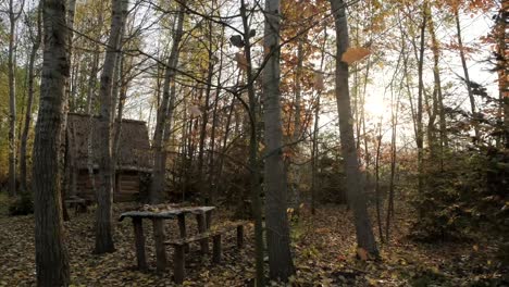 casa del bosque en otoño. vista de la casa del bosque de otoño. casa de la carretera del bosque. paisaje de la carretera de la casa de la selva de otoño