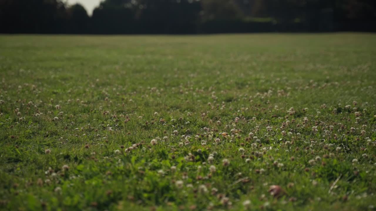 Apple thrown at ground and destroyed at slow motion.