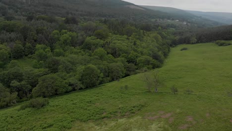 Fliegen-über-Grüne-Felder-Mit-Wald,-Fluss-Und-Bergen