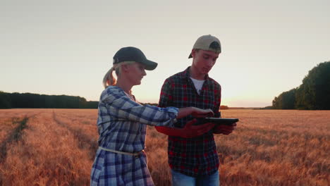 two young farmers - man and woman are walking along the wheat field at sunset