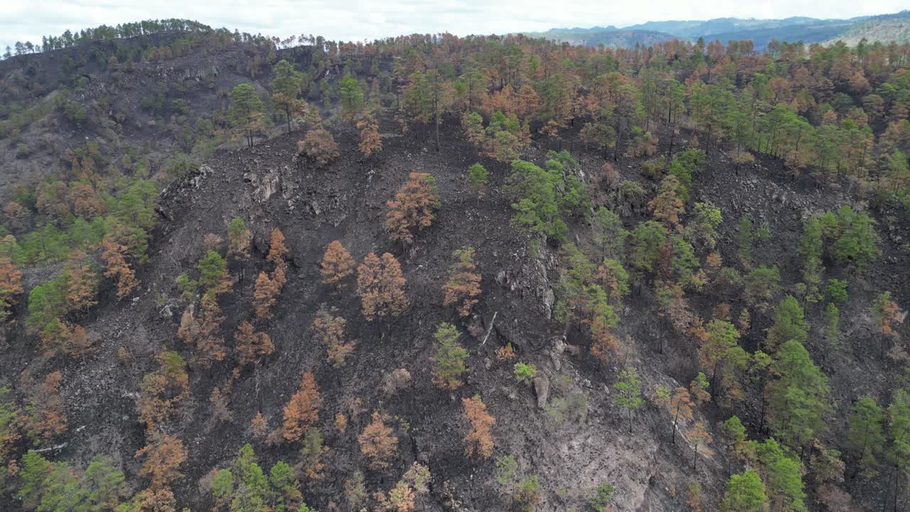 Aerial view of scorched mountain landscape after wildfire in rural Honduras