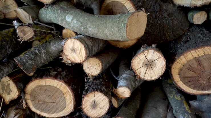 Stacked Firewood panning left to righ