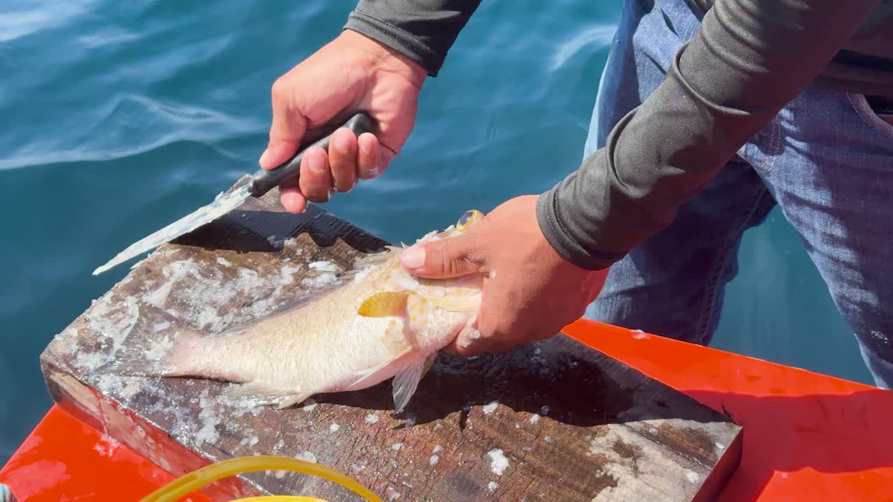 A person descales a fish on a boat in Phuket, Thailand. Bright daylight highlights the meticulous process against a vibrant ocean backdrop