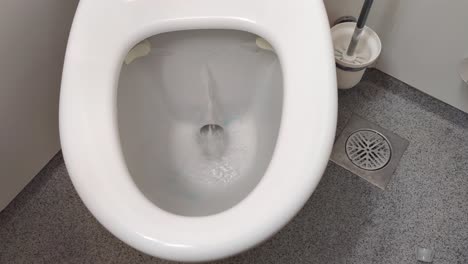 ships vacuum toilet with soap and cleaning agent flushed twice - toilet paper and soap sucked down the drain - static handheld above toilet bowl