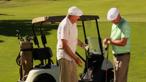 Dos-Amigos-Varones-Charlando-En-El-Campo-De-Golf-Junto-A-Su-Kart.